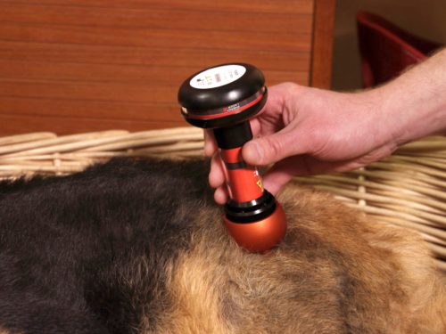 Energy-Laser L2000 Pro softlaser (LLLT)