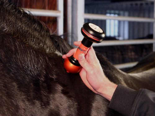 Energy-Laser L2000 Pro softlaser (LLLT)