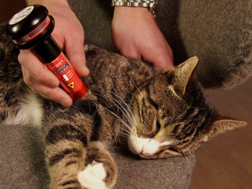 Energy-Laser L500 Pro softlaser (LLLT)