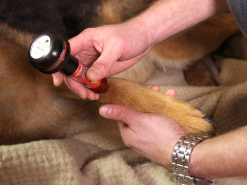 Energy-Laser L500 Pro softlaser (LLLT)