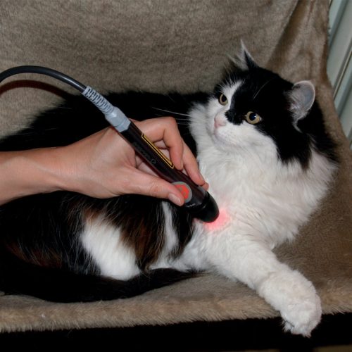 LaserVet 3.0 Veterinary Laser