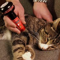 Veterinary Laser
