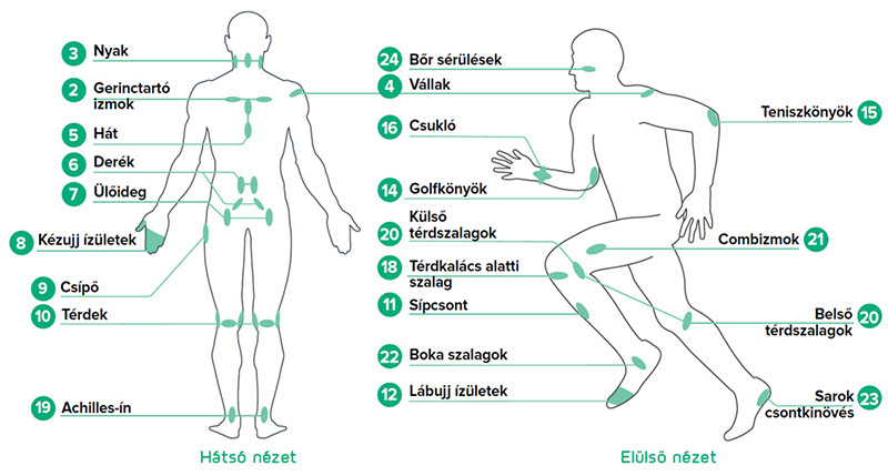 B-Cure Sport laser therapy points