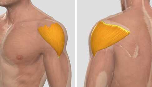 Home treatment of frozen shoulder syndrome