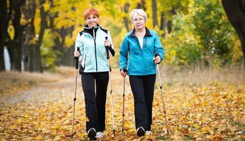The relationship between physical activity and health