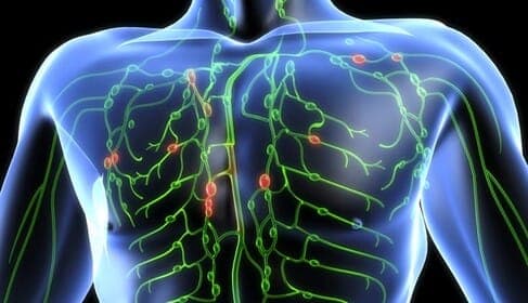 Lymph node swelling from symptoms to recovery