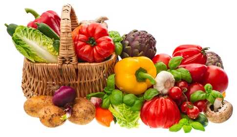 High cholesterol level – oxidized LDL, lifestyle and statins