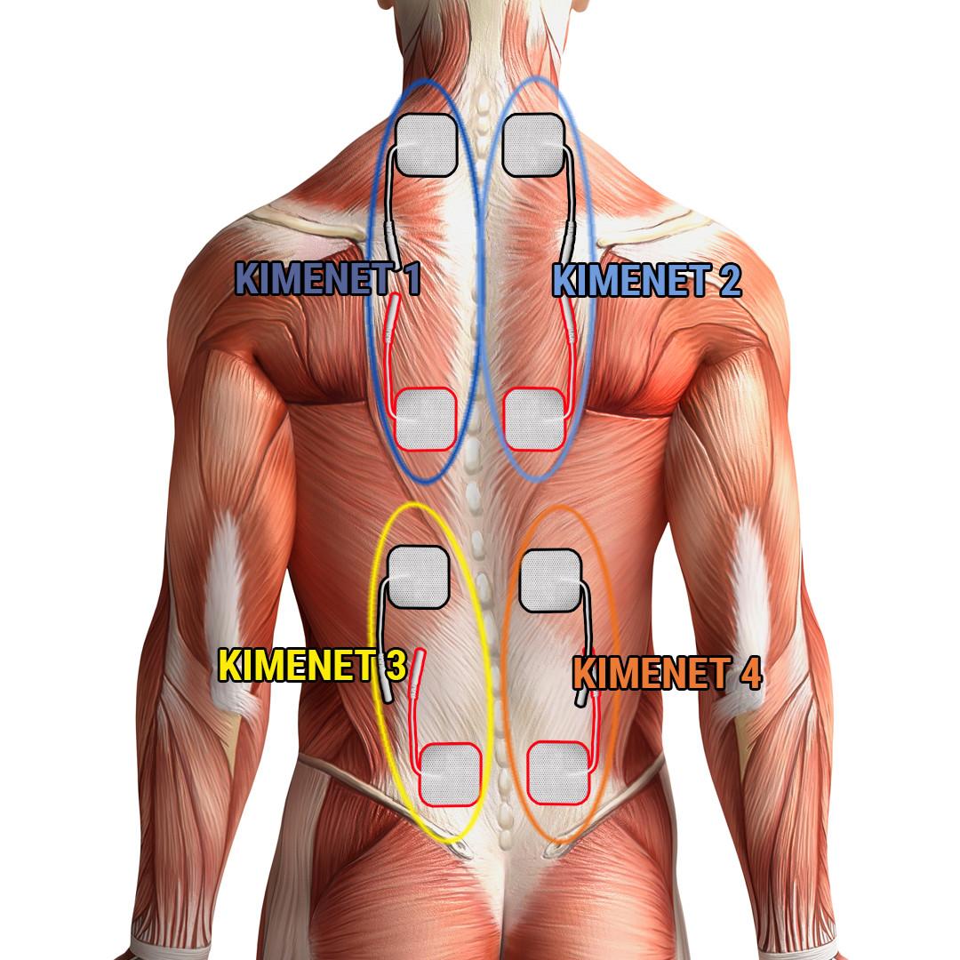 Back muscle strengthening on 4 channels