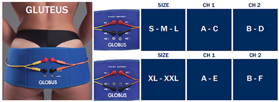 FastBand gluteal muscles connection