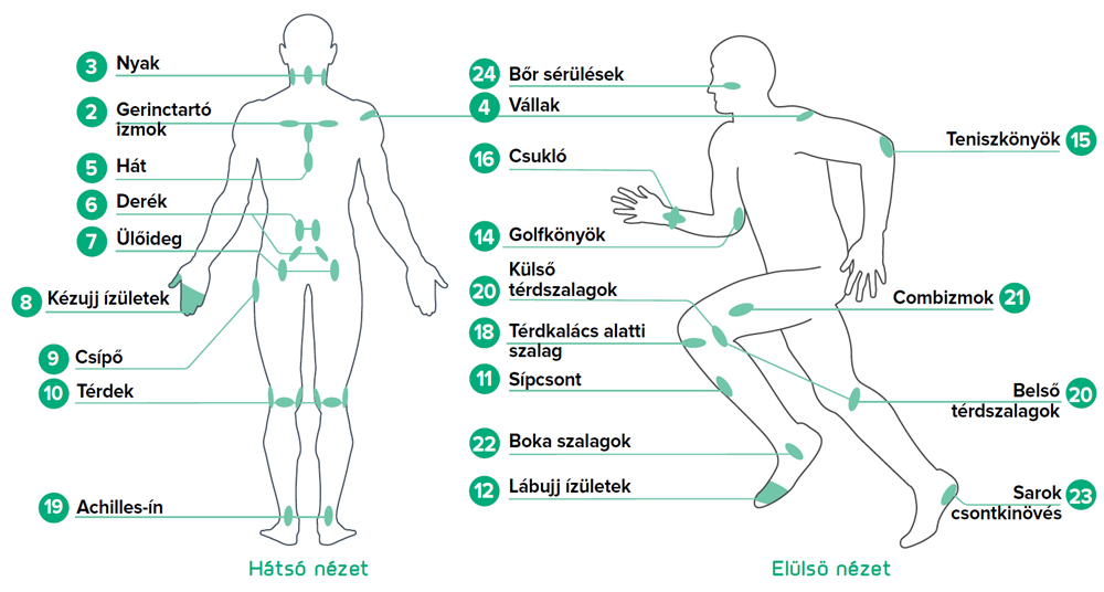 B-Cure-Sport-laser-therapy-points.jpg